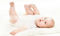 新能源汽车出口需求猛增 宁波在海运保障上“打了个样”