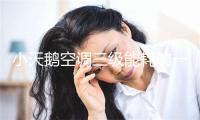 小天鹅空调三级能耗的一天要多少钱